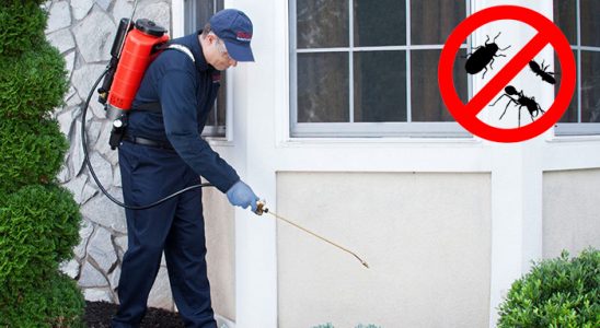 Karatay Kene İlaçlama böcek ilaçlama ve haşere kontrolü — ilaclama-tr.com